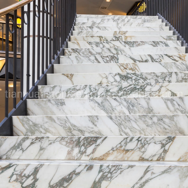 Marble and Granite Step for Villa and Building